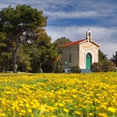 Botanischen Dugi otok 2024