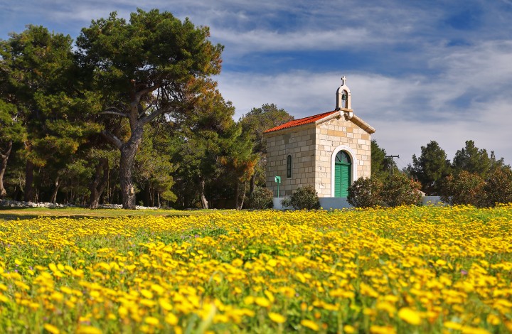 Days of herbs on Dugi otok 2024