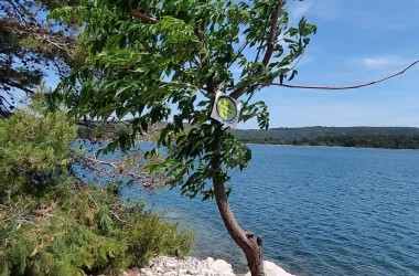 Hrvatska prirodno tvoja – Croatia Naturally Yours” na Dugom otoku