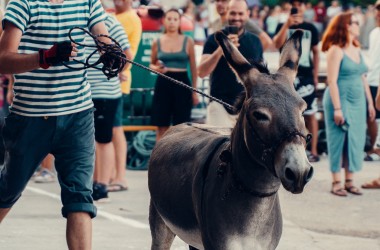 Saljske užance - Sali festivity 2025