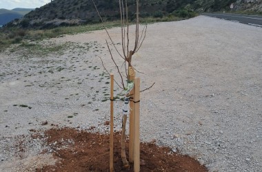 Hrvatska prirodno tvoja – Croatia Naturally Yours” na Dugom otoku