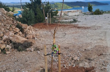 Hrvatska prirodno tvoja – Croatia Naturally Yours” na Dugom otoku